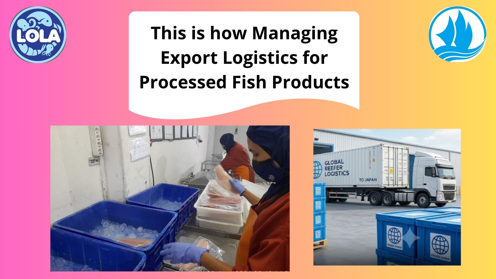  This is how Managing Export Logistics for Processed Fish Products